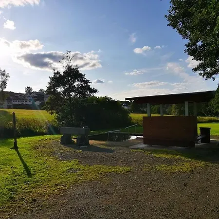 Alluring In Willingen * Willingen (Upland)