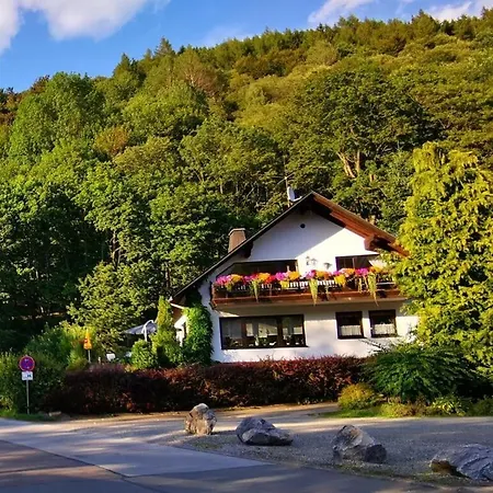 Alluring In Willingen Διαμέρισμα