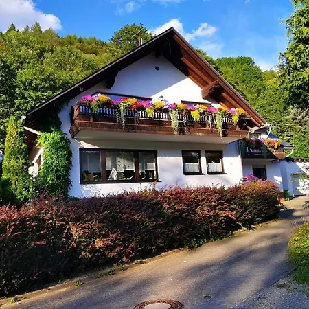 Διαμέρισμα Alluring In Willingen *
